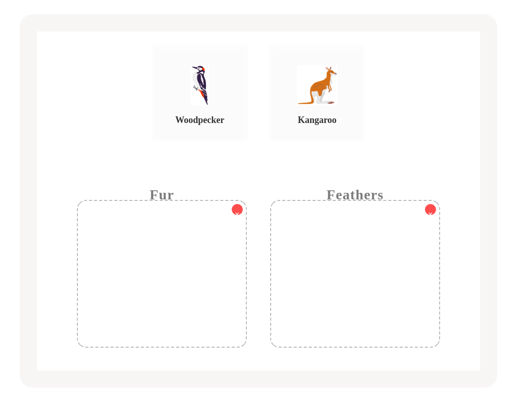 Animals: Fur or Feathers?