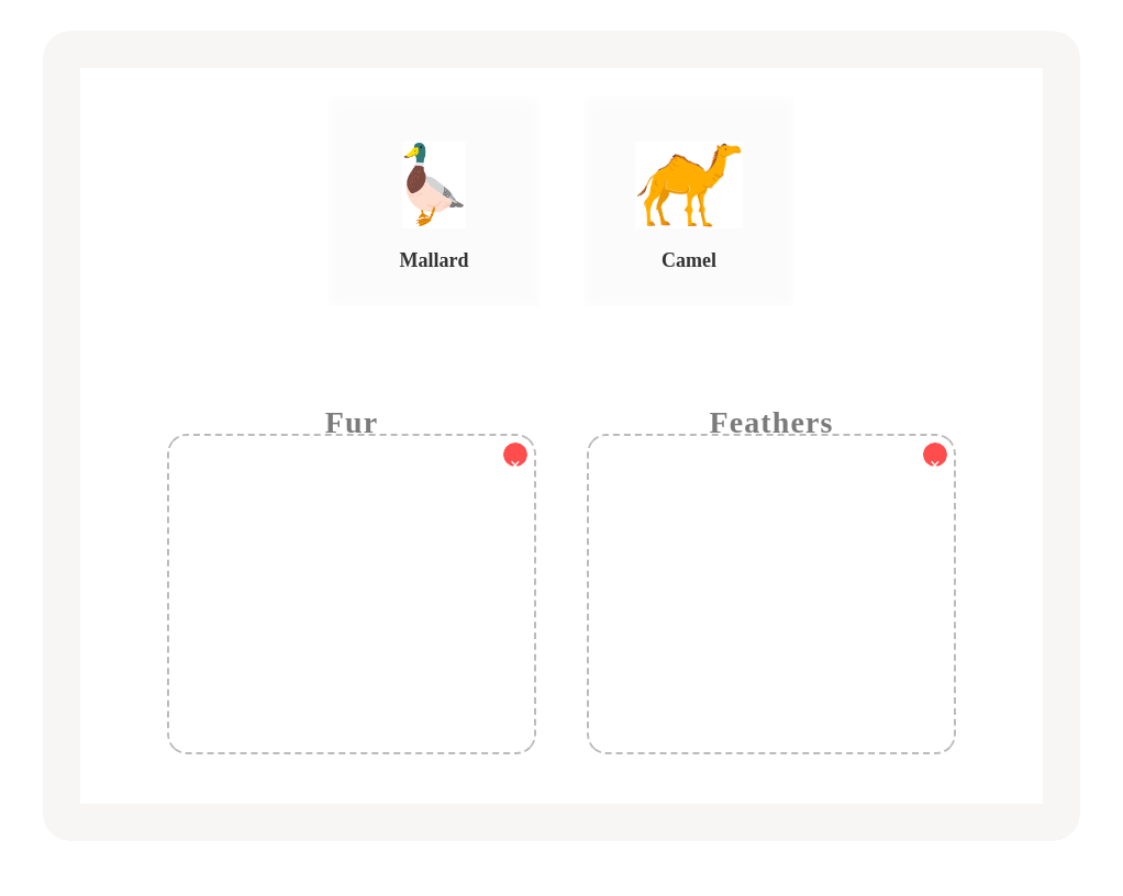 Animals: Fur or Feathers?