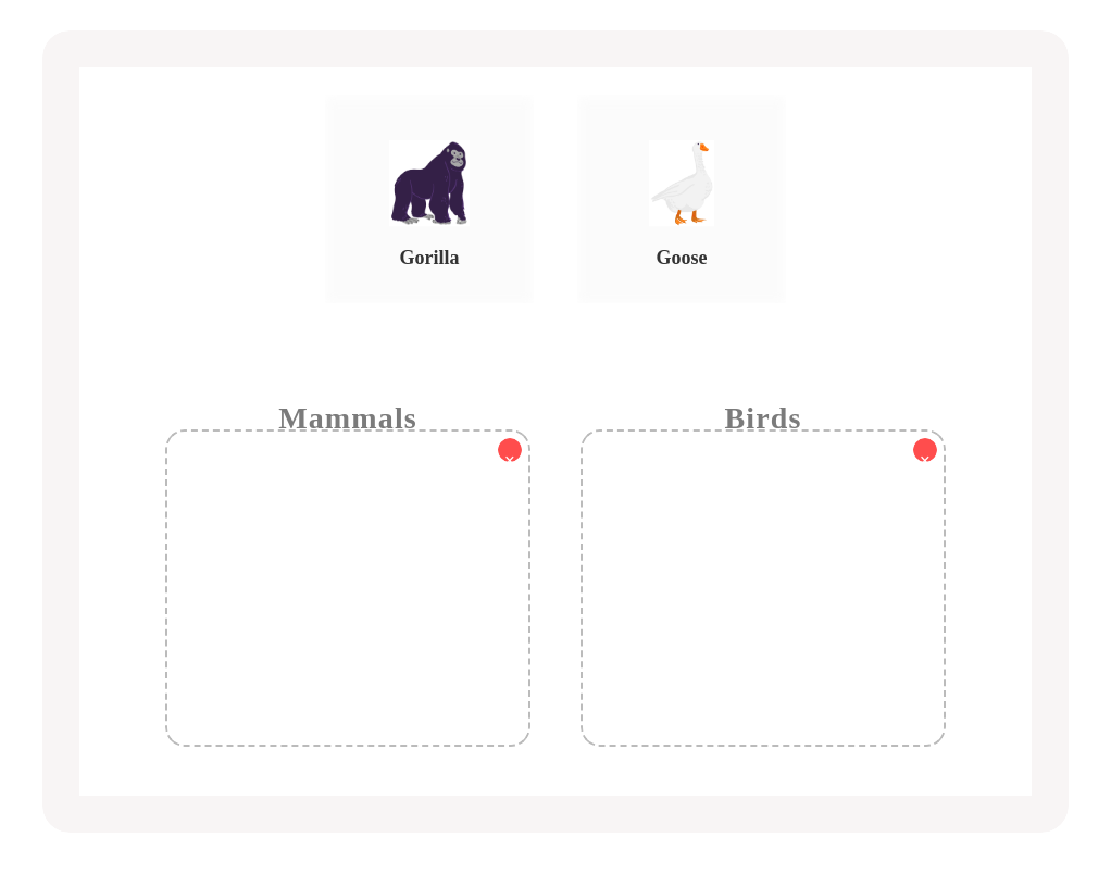 Classify the Animals!