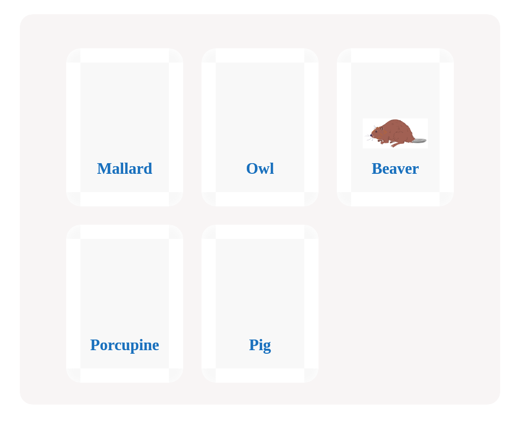 Identify Fur or Feathers