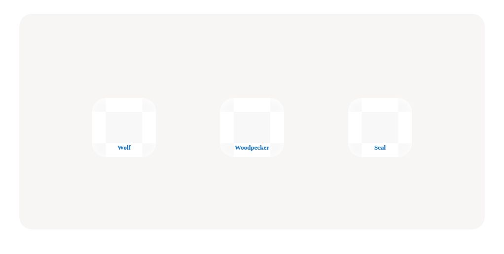 Spot the Right Animal!