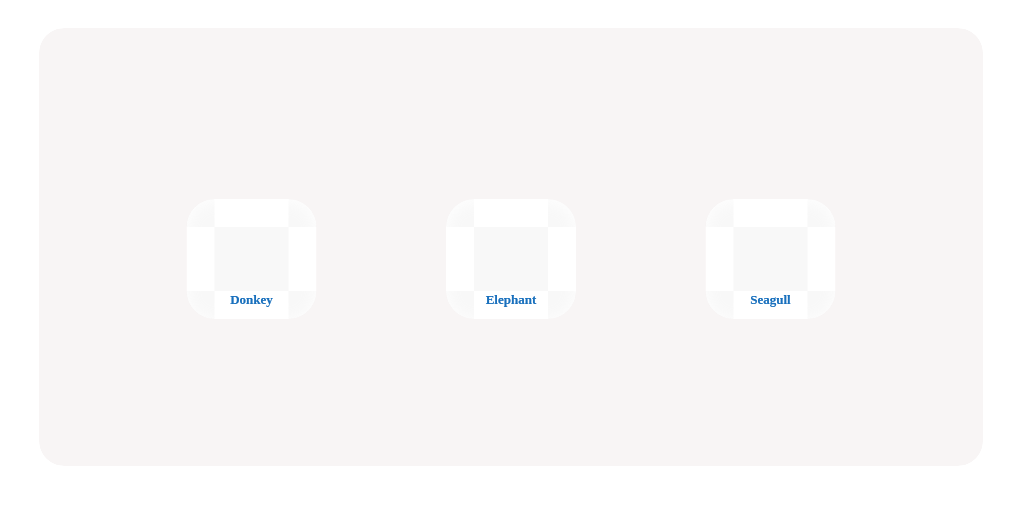 Test Your Animal Knowledge!