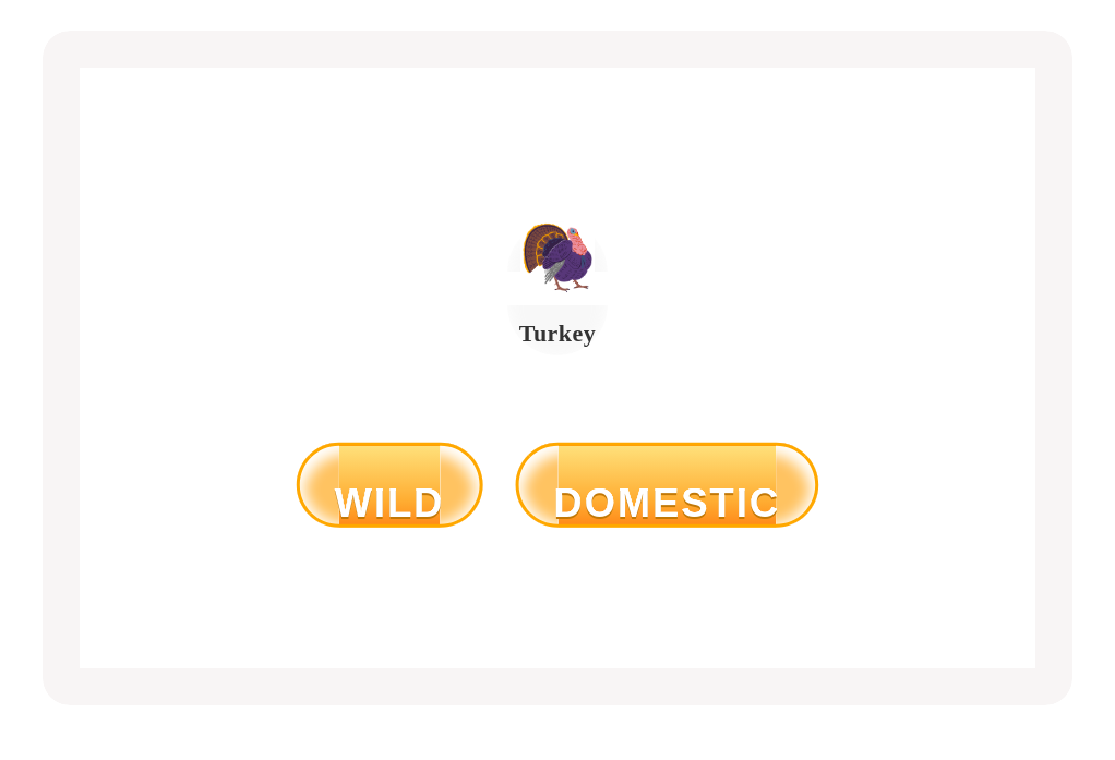 files/skilled-worksheets/images/wild-or-domestic-13_Sk0LvjA.png