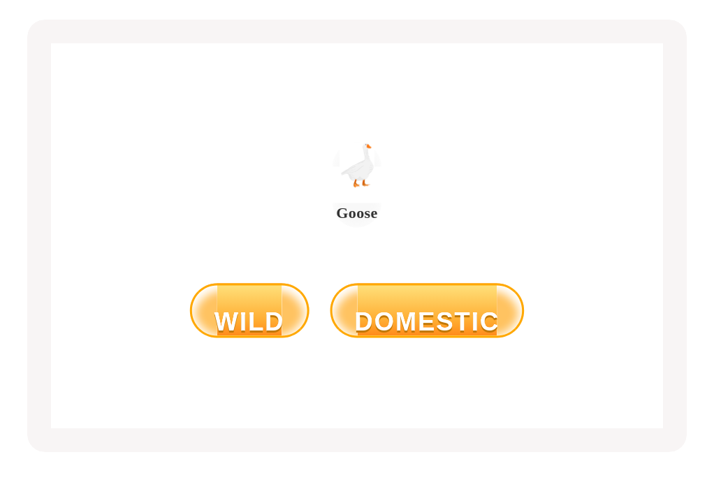files/skilled-worksheets/images/wild-or-domestic-15_8V8VtqS.png