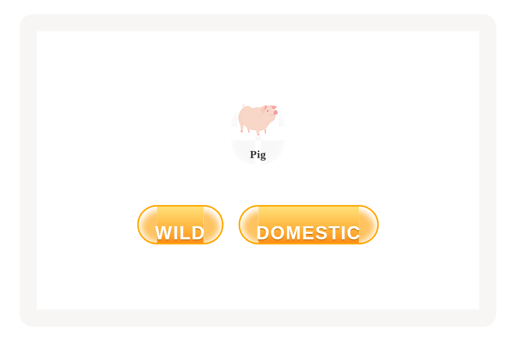 files/skilled-worksheets/images/wild-or-domestic-7_c0dOGfV.png