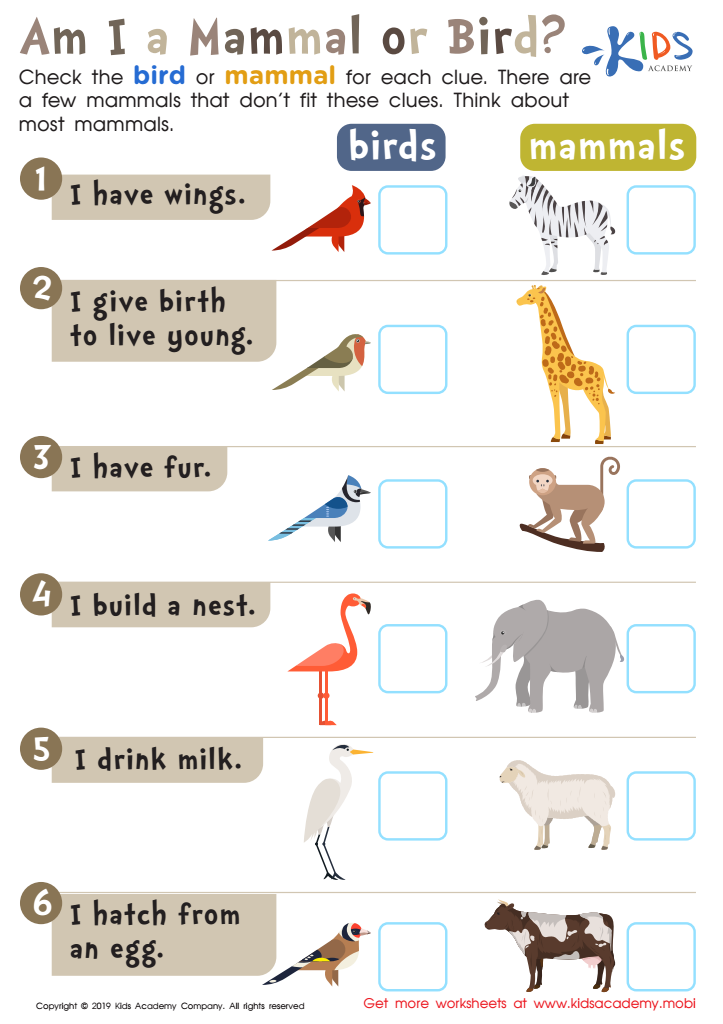 Am I a Mammal or Bird? Worksheet