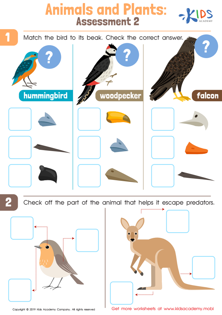 Animals and Plants: Assessment 2 Worksheet