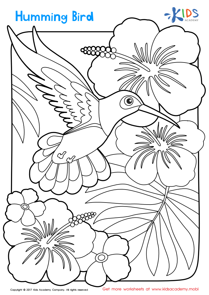 Worksheet: humming bird coloring page