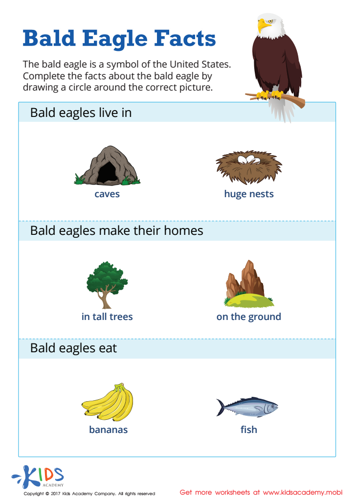 Bald Eagle Facts Printable Worksheet
