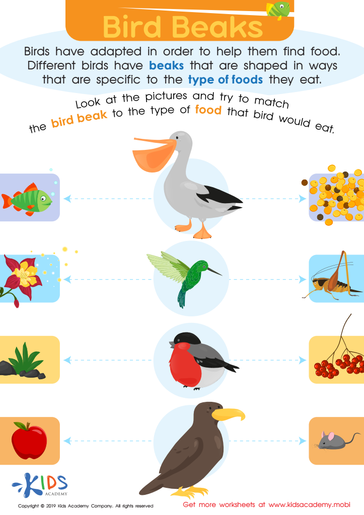 Bird Beaks Worksheet