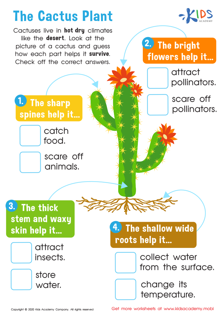 The Cactus Plant Worksheet