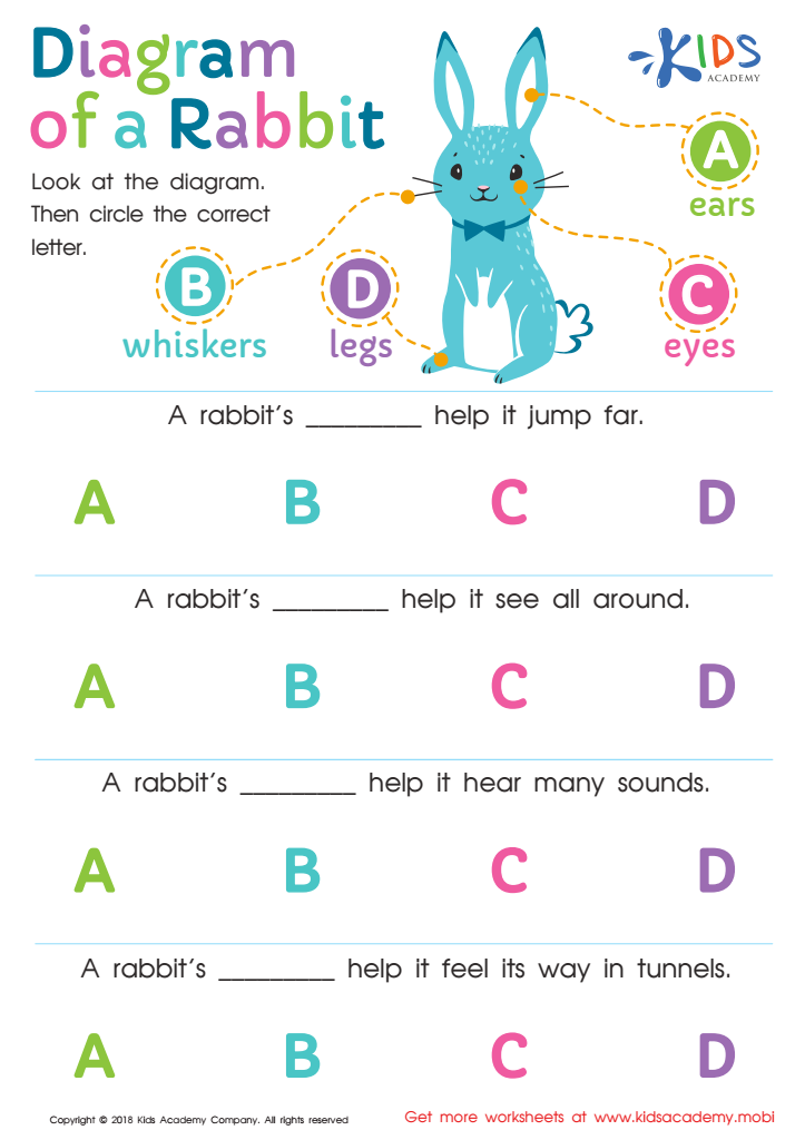 Diagram Of A Rabbit Worksheet For Kids