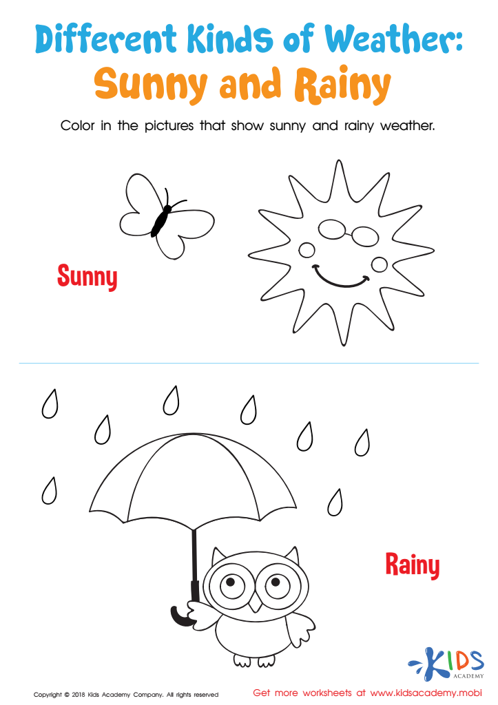 Different Kinds of Weather: Sunny and Rainy Worksheet