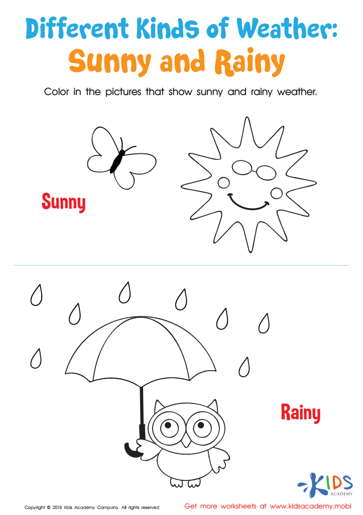 different kinds of weather sunny and rainy worksheet free printable for kids