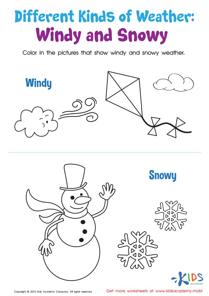 Different Kinds of Weather: Windy and Snowy Worksheet
