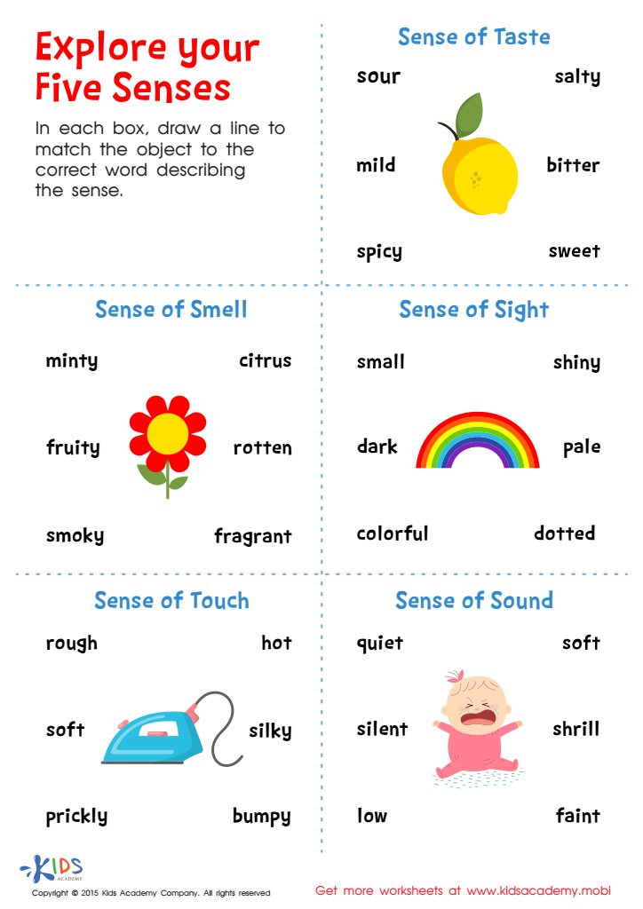 Using Our 5 Senses Worksheet K5 Learning Sense Organs Interactive 