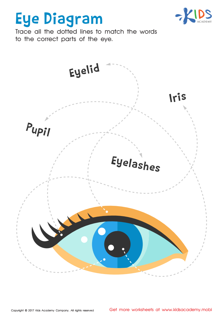 Parts of the Eye Worksheet