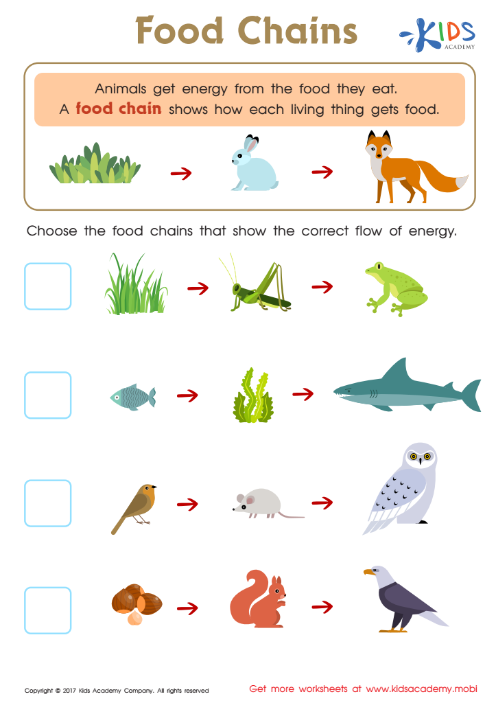 Food Webs and Food Chains Worksheet: Free Printable PDF for Children