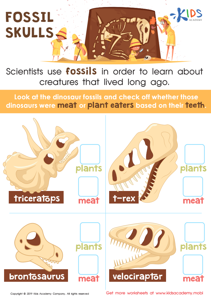 Fossil Worksheets Grade 2