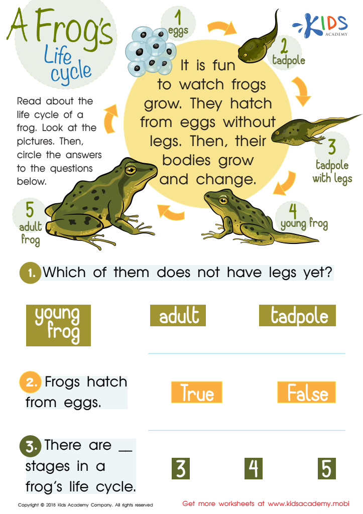 A Frog's Life Cycle Worksheet for kids