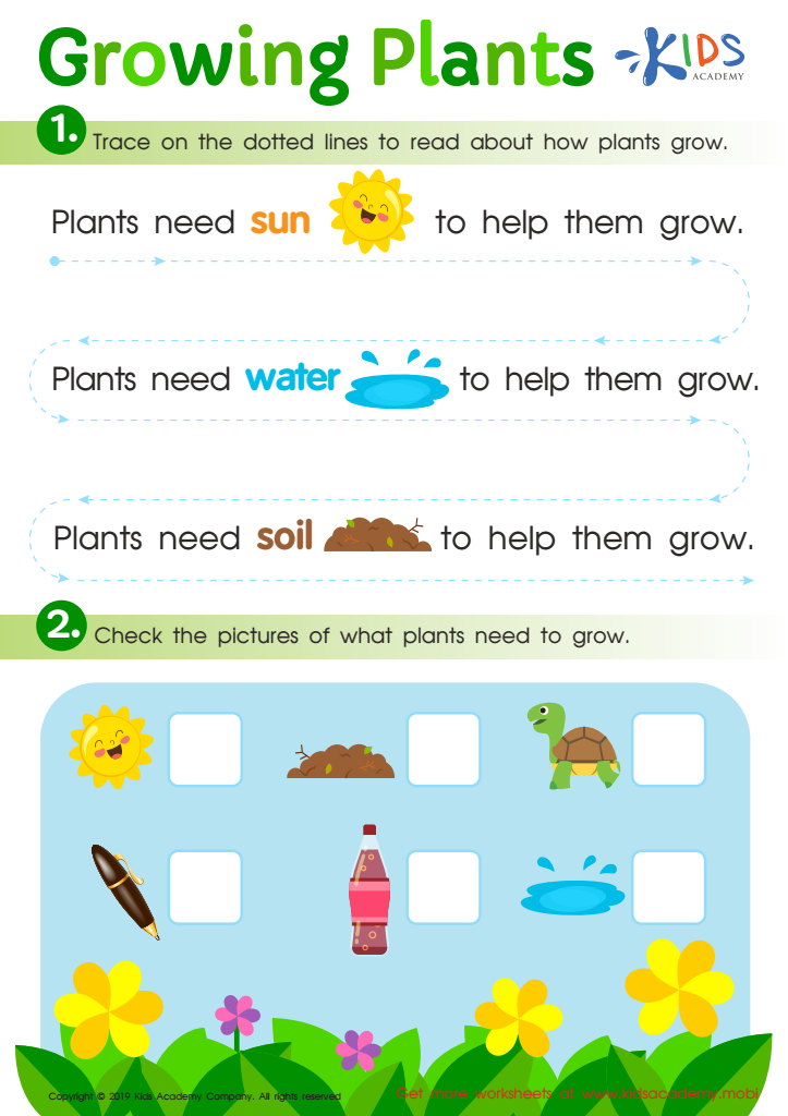 Plant Needs Worksheets