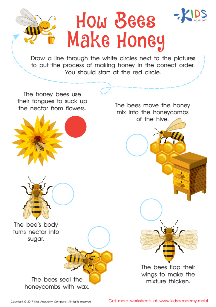 Honeybee worksheet for 3rd grade