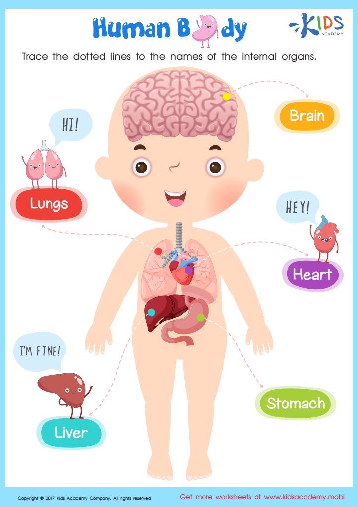 Internal organs worksheet for grade 2