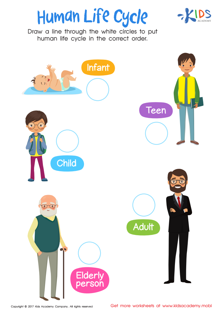 human life cycle worksheet free printable for children