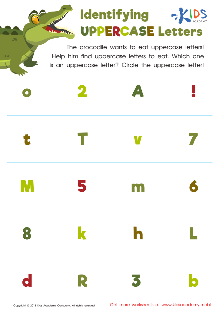 Identifying Uppercase Letters Worksheet Preview