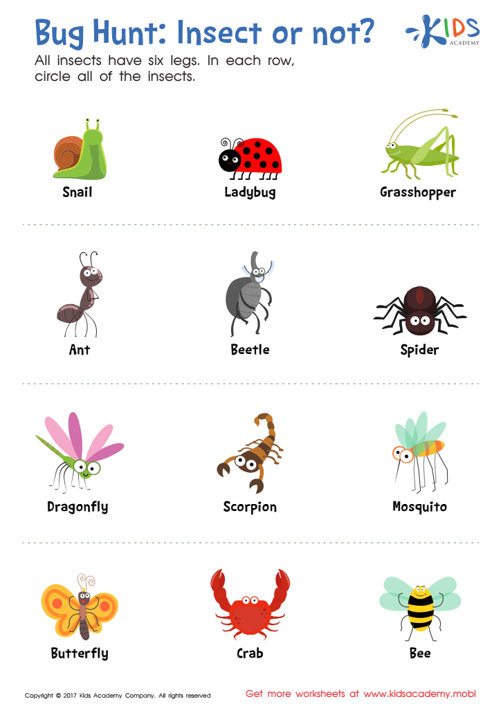 Insect or Not? Worksheet: Free Printable PDF for Kids