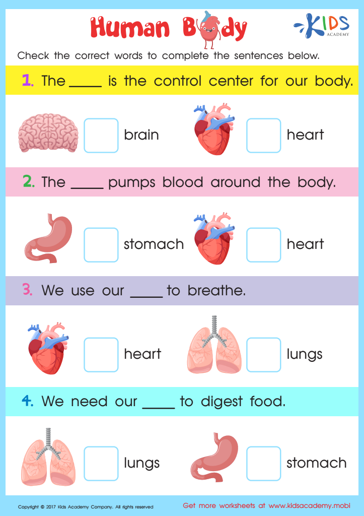 Human body worksheets for grade 2