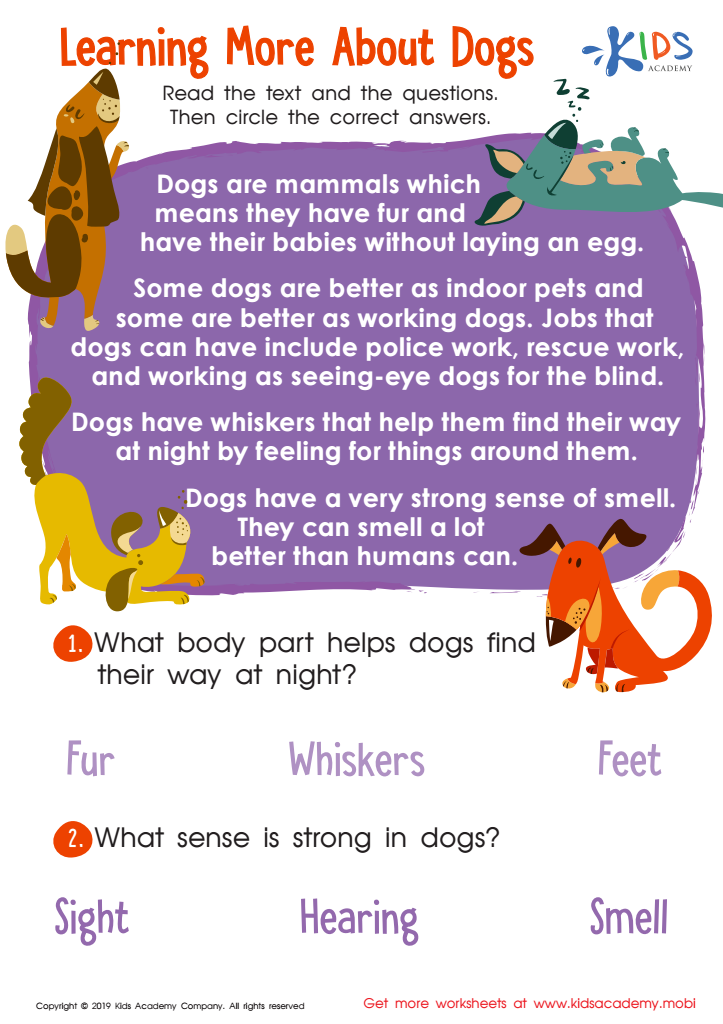 Learning More About Dogs Worksheet