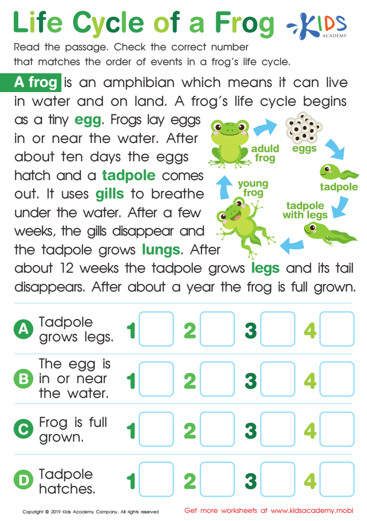 Life Cycle of a Frog Worksheet