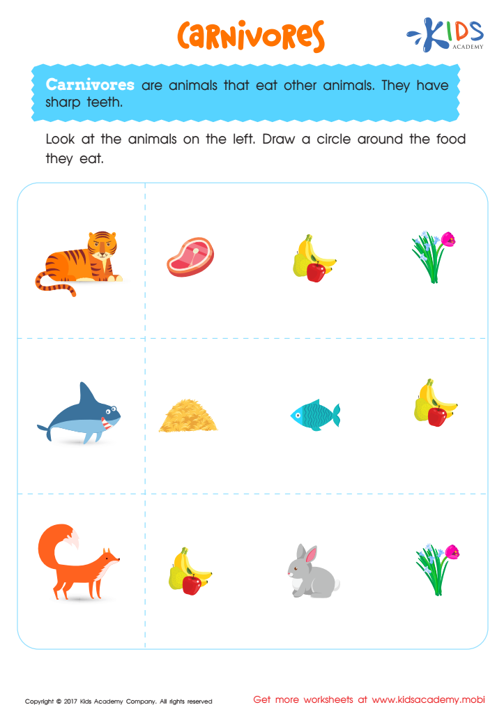 Carnivores Worksheet: Free Printable PDF for Kids