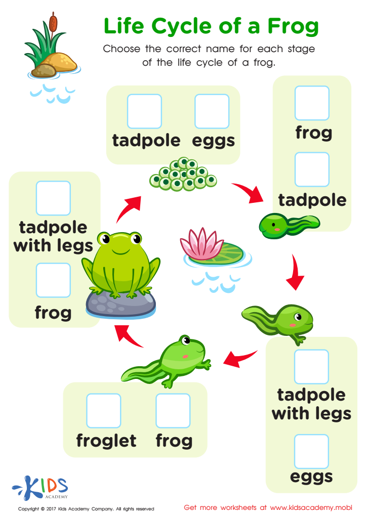 Life Cycle Frog Free Worksheet PDF For Kids Answers And Completion Rate