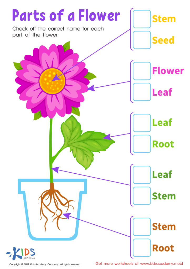 Parts Flower Printable Free Worksheet PDF For Kids Answers And 