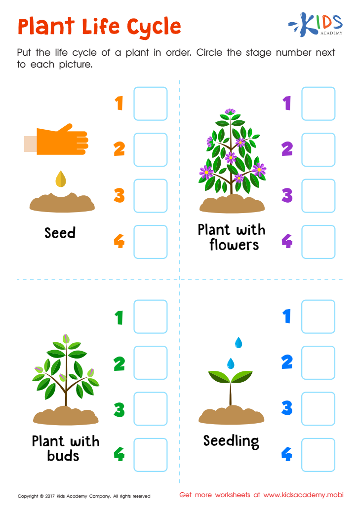 Plant life cycle worksheet