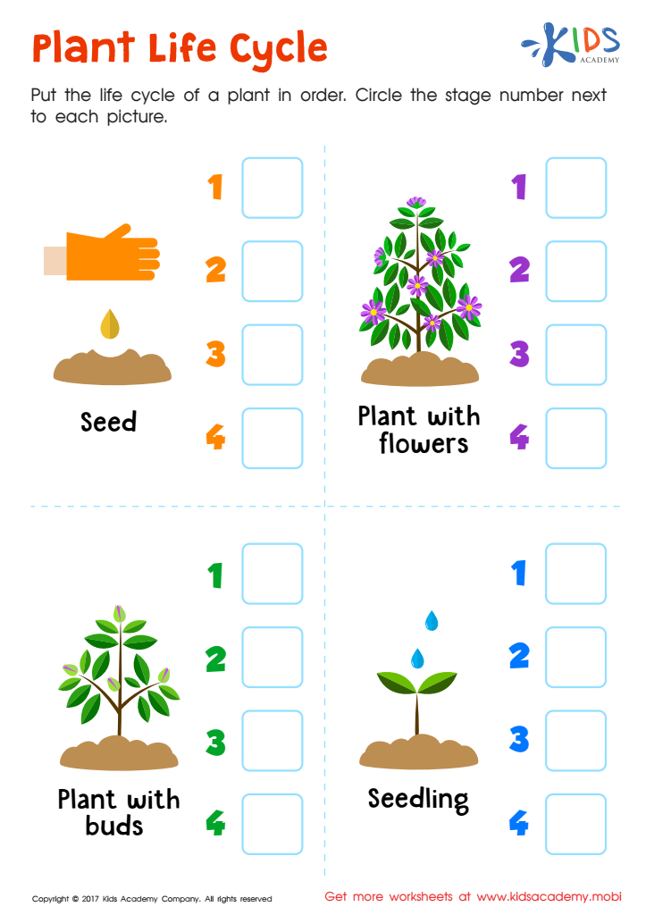 life cycle of a flowering plant diagram for kids