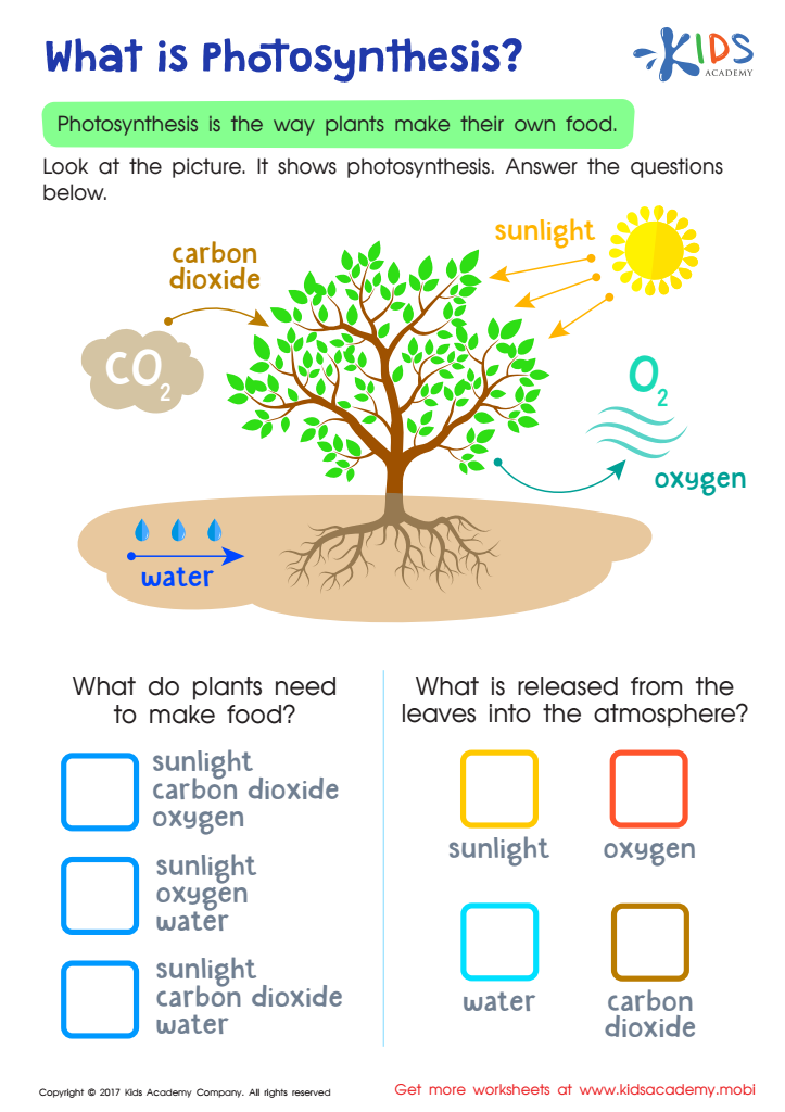 What is photosynthesis worksheet