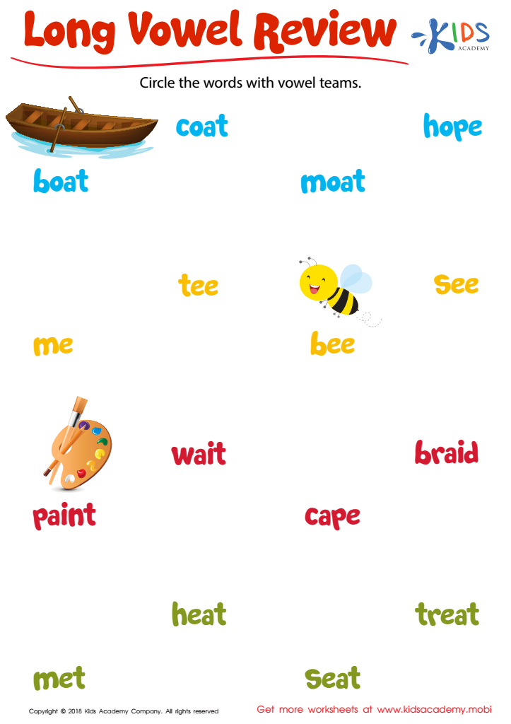 Long Vowel Review Worksheet