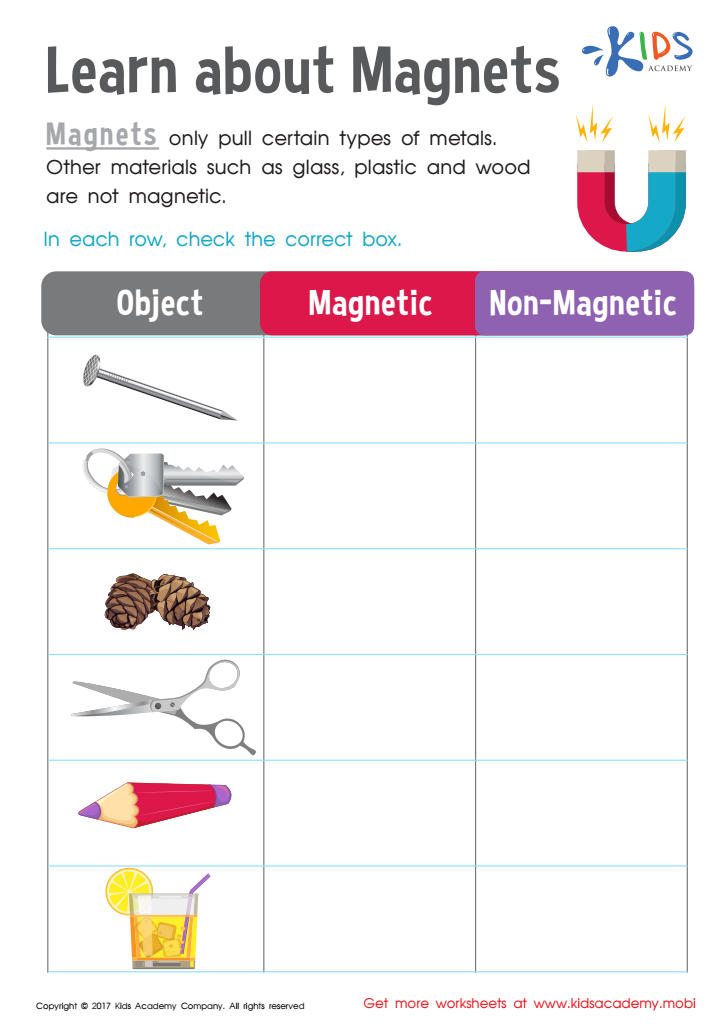 Magnetic Or Not Worksheet
