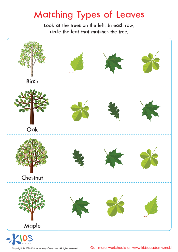 Matching Types of Leaves Printable