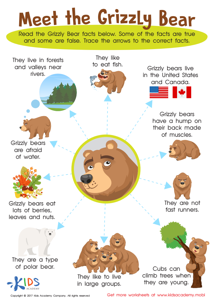 Grizzly Bear Facts Worksheet for 3rd Graders