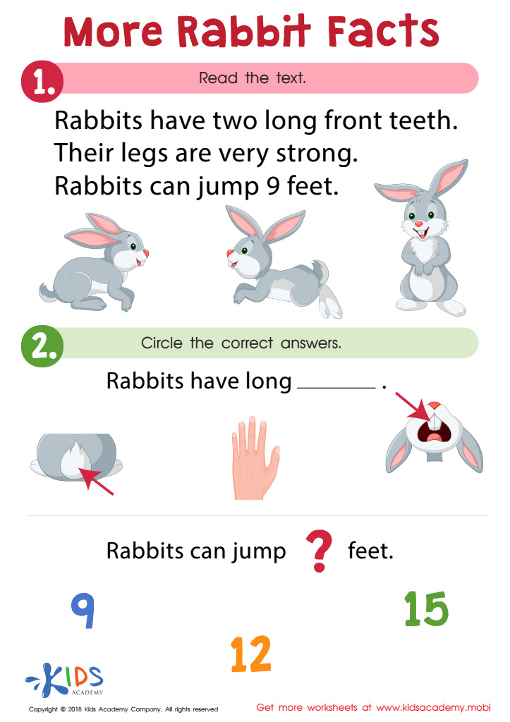 More Rabbit Facts Worksheet