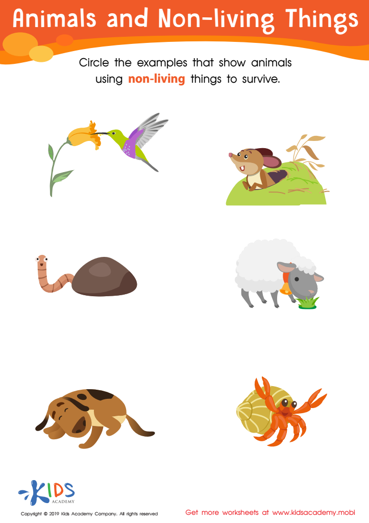 Animals and Non-Living Things Worksheet for kids