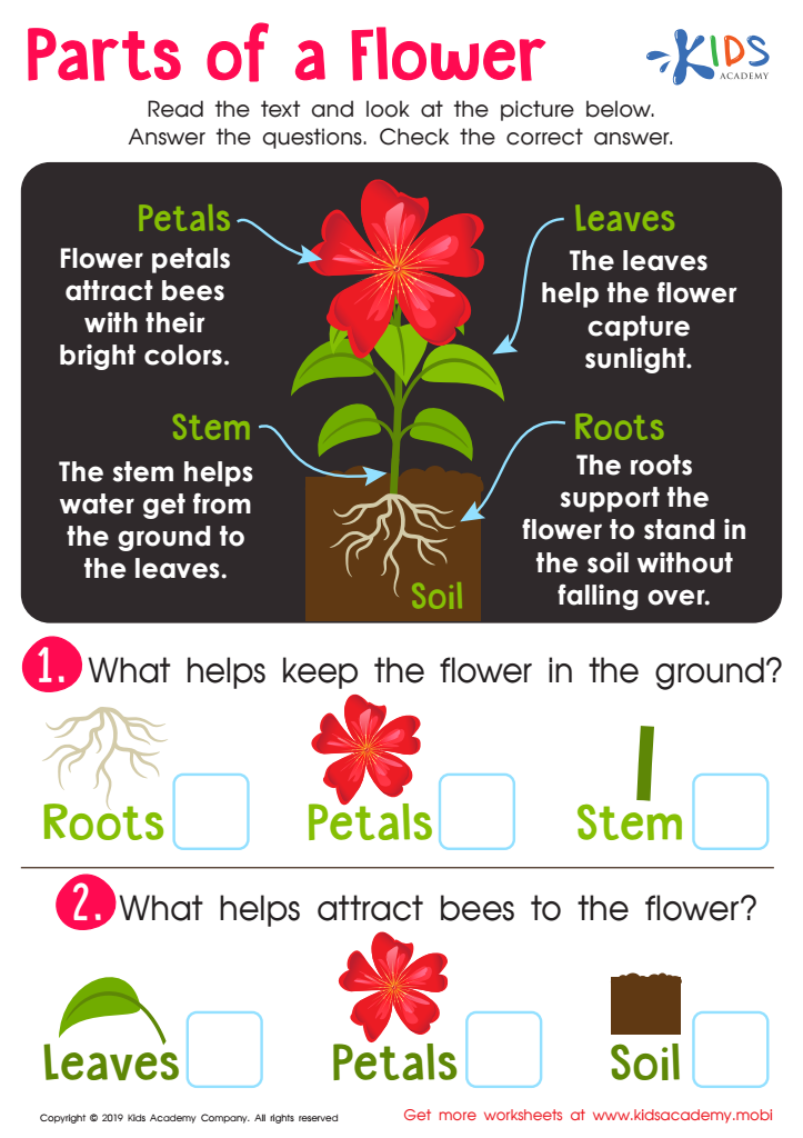 Parts Of Flower Worksheet For Kids