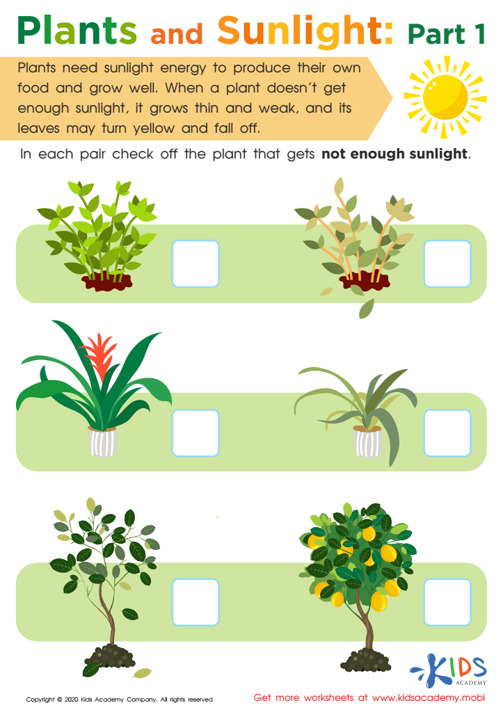 Plants and Sunlight: Part 1 Worksheet