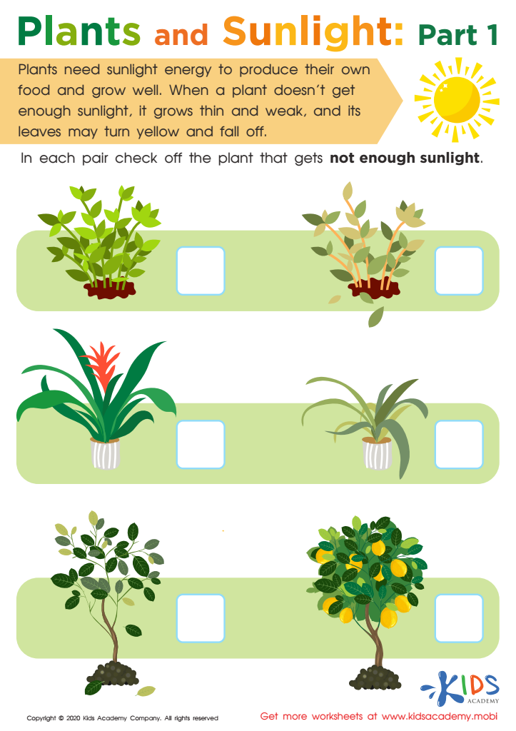 plants and sunlight part 1 worksheet