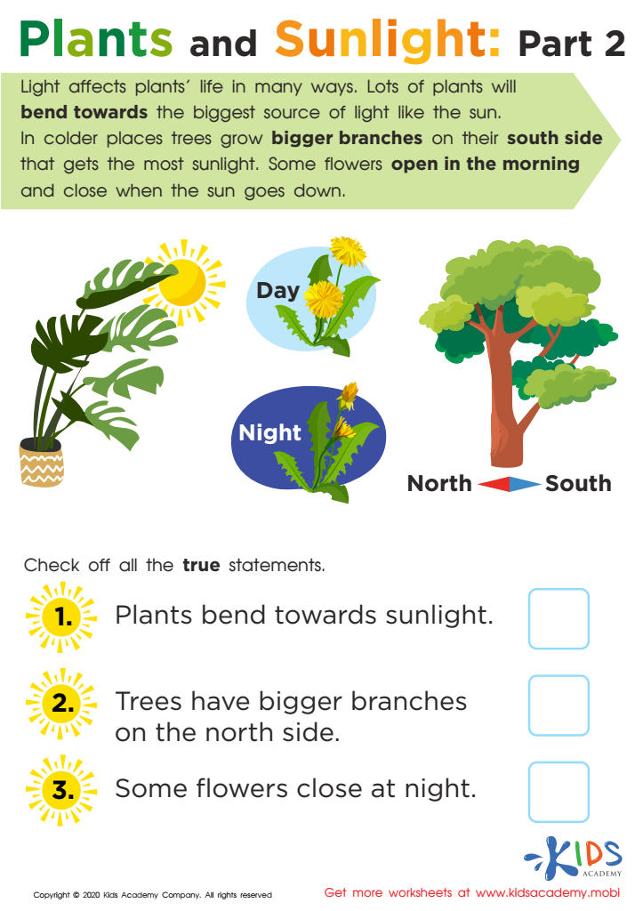 Plants and Sunlight: Part 2 Worksheet