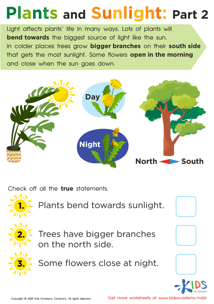 Free Plants And Sunlight Part 2 Worksheet Worksheet For Kids